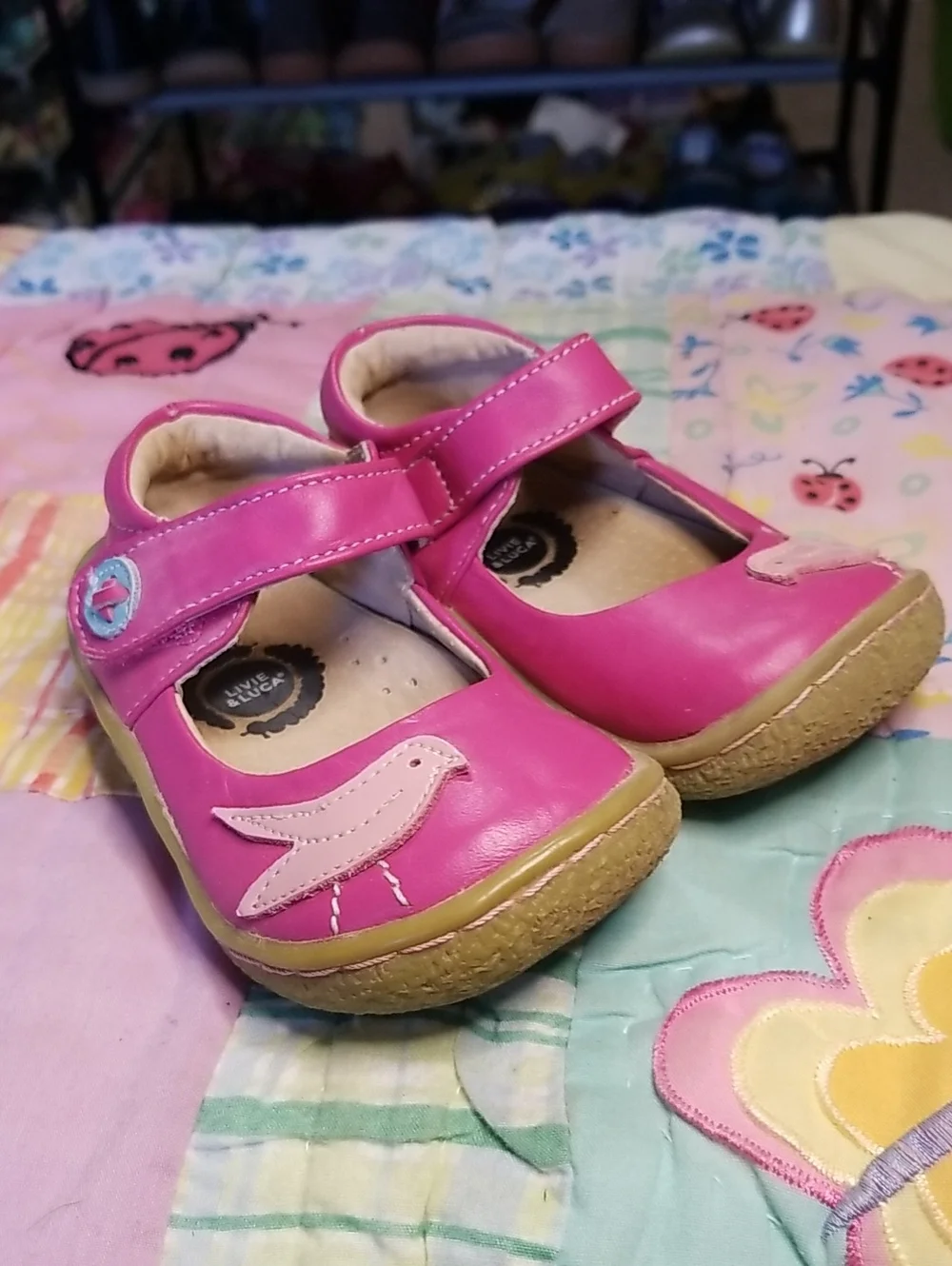 Livie & Luca Pink Leather Mary Jane Shoes with Light Pink Bird Size 5 Pio Pio